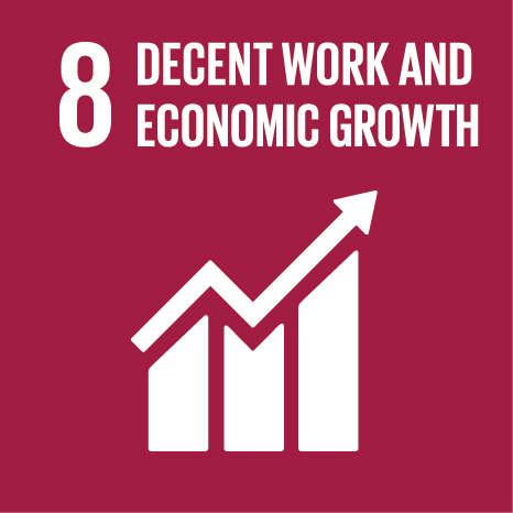 SDG 8 Decent Work and Economic Growth