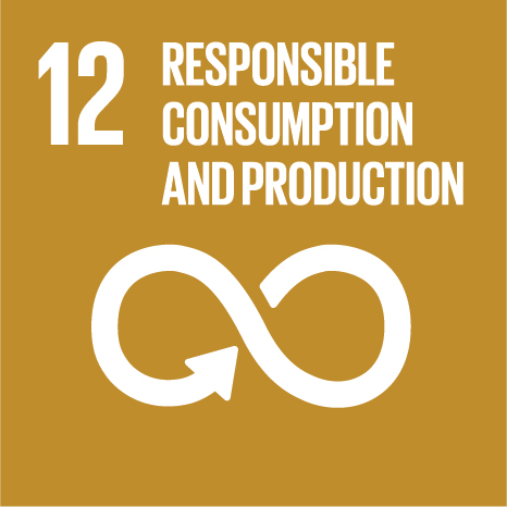 SDG 12 Responsible Consumption and Production